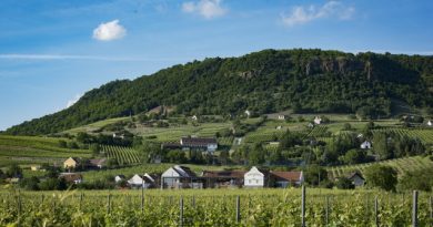 A somlói Tornai Pincészet újabb Trófea-díjat nyert a londoni International Wine Challenge-en. GasztroMagazin 2019.