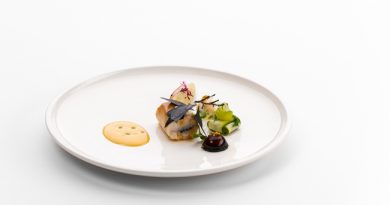 Kelemen Roland, a Hunguest Hotel Aqua Sol szakácsának haltányérja a Bocuse d'Or 2020. évi magyarországi selejtezőjén. GasztroMagazin 2020.