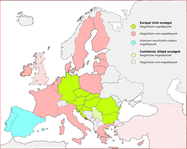 Gyalogbodza, vagy borzag, mint pálinkaalapanyag. GasztroMagazin 2020.