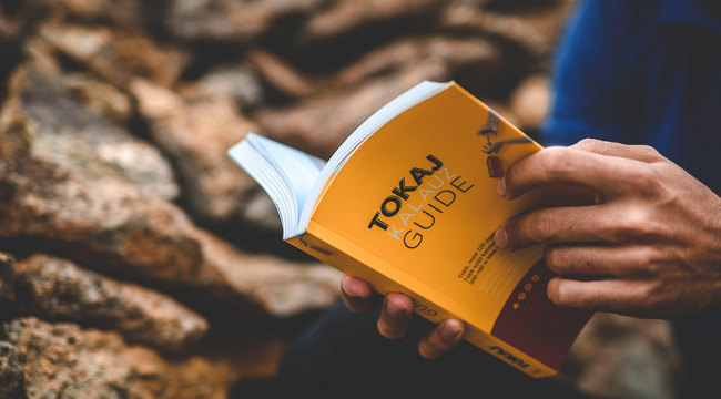 European Wine Book lett Ripka Gergely Tokaj Kalauza. GasztroMagazin 2021.