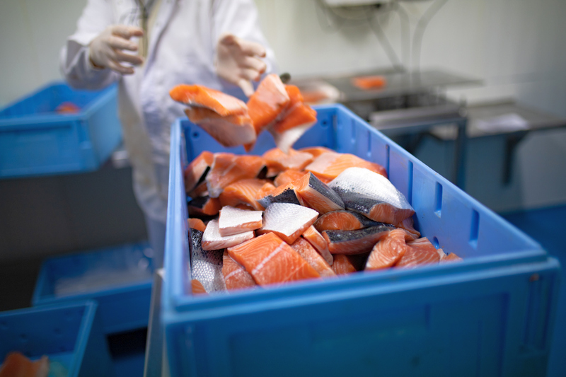 The Fishmonger. Budaörsi Halpiac. The Fishmonger. HOL Magazin 2022.