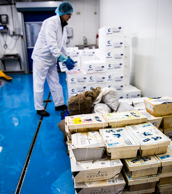 The Fishmonger. Budaörsi Halpiac. The Fishmonger. HOL Magazin 2022.