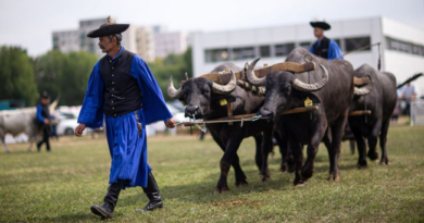 Nagy sikerrel zárult a Farmer Expo. GasztroMagazin 2022.