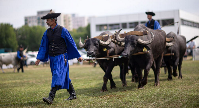 Nagy sikerrel zárult a Farmer Expo. GasztroMagazin 2022.