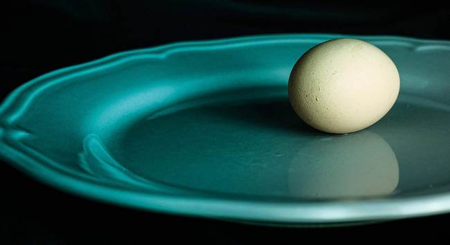 MATE doktorandusz fejlesztése a tojás fagyasztva tárolásáról. GasztroMagazin 2023.