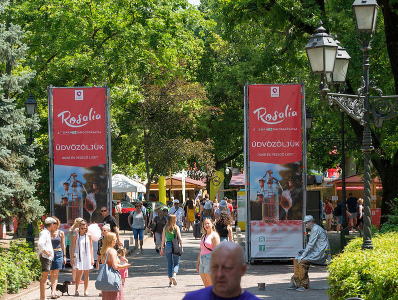 Rosalia Borpiknik. Új néven jelentkezik a várt kora nyári borrendezvény a Városligetben. HOL Magazin 2023.