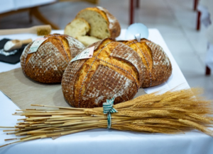 Magyar Ízek Utcája 2023. GasztroMagazin 2023.