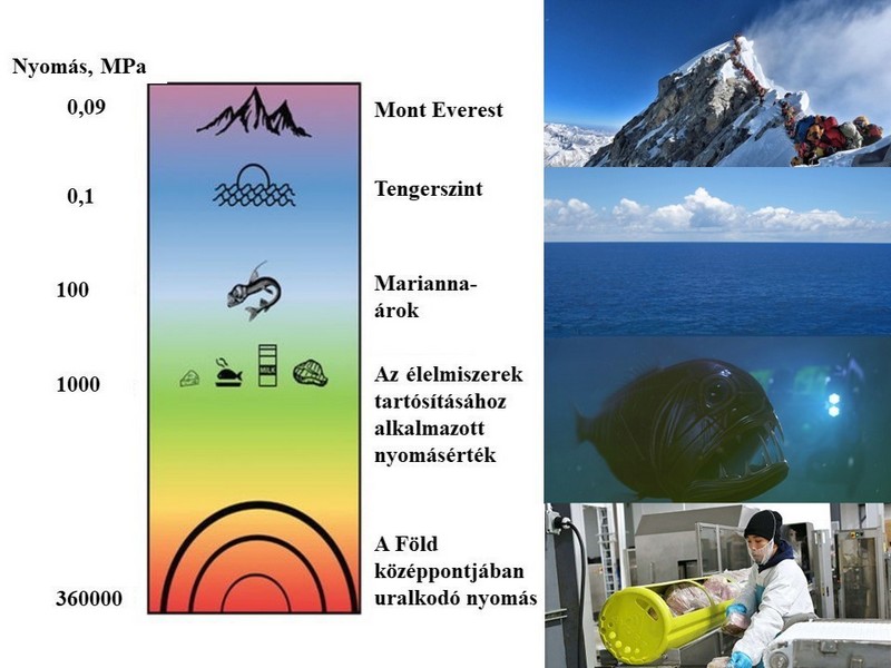 Ételek nagynyomású kezelése. HOL Magazin 2023.