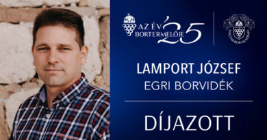 Lamport József, Thummerer Pincészet, Egri Borvidék. Az Év Bortermelője Magyarországon 2025. GasztroMagazin 2025.