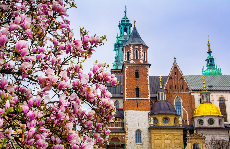 Elindul a Krakkó-Budapest légijárat. GasztroMagazin 2026.