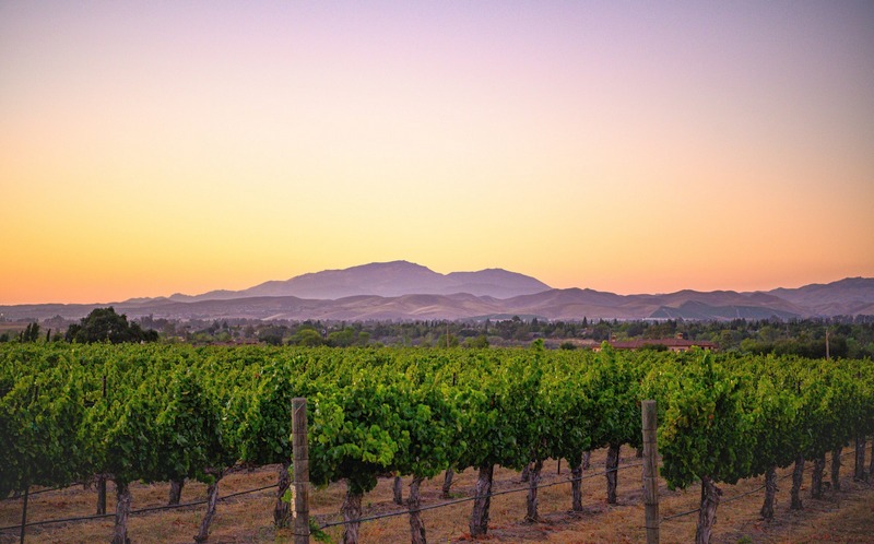 A Globel AVA új tagja Livermore. HOL Magazin 2026.